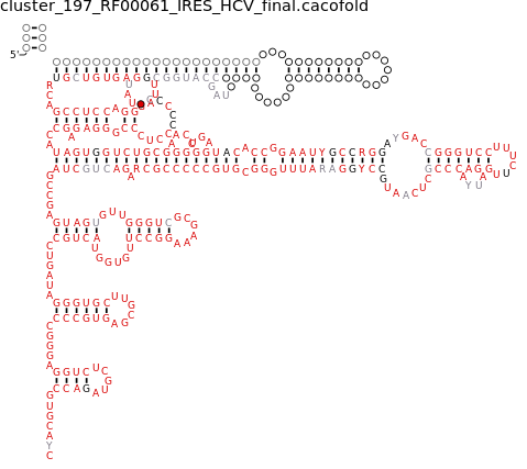 R-scape covariation plot of IRESG005