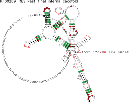 R-scape covariation plot of IRESG006