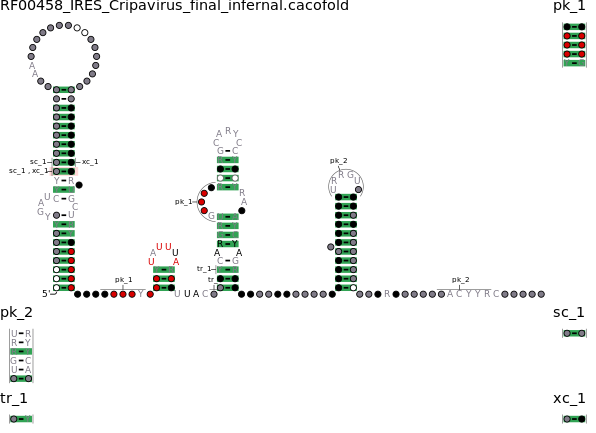 R-scape covariation plot of IRESG008