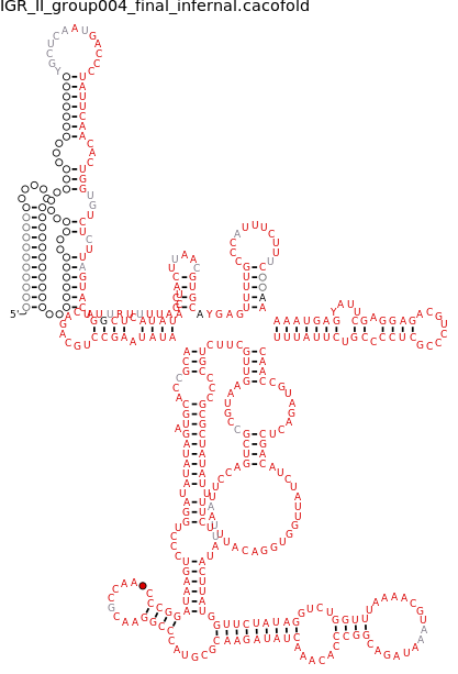 R-scape covariation plot of IRESG014