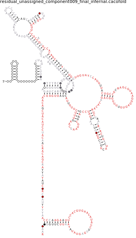R-scape covariation plot of IRESG032