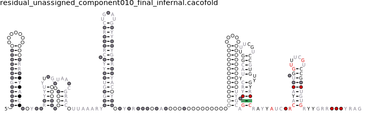 R-scape covariation plot of IRESG033