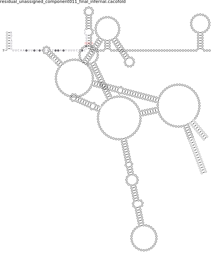 R-scape covariation plot of IRESG034