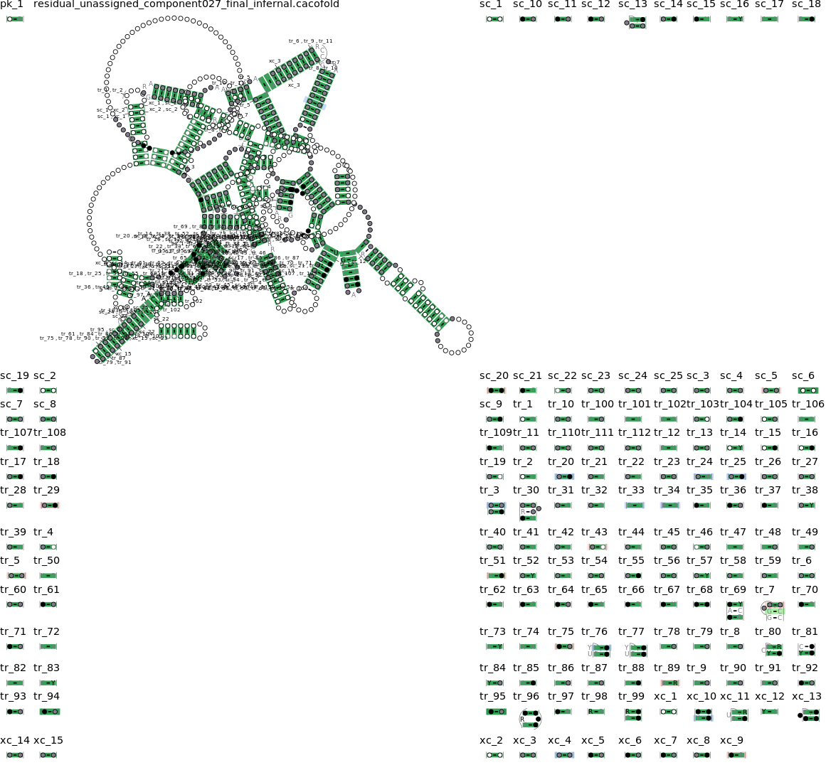 R-scape covariation plot of IRESG047