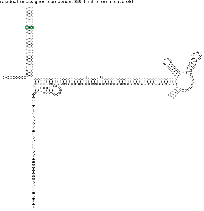 R-scape covariation plot of IRESG076
