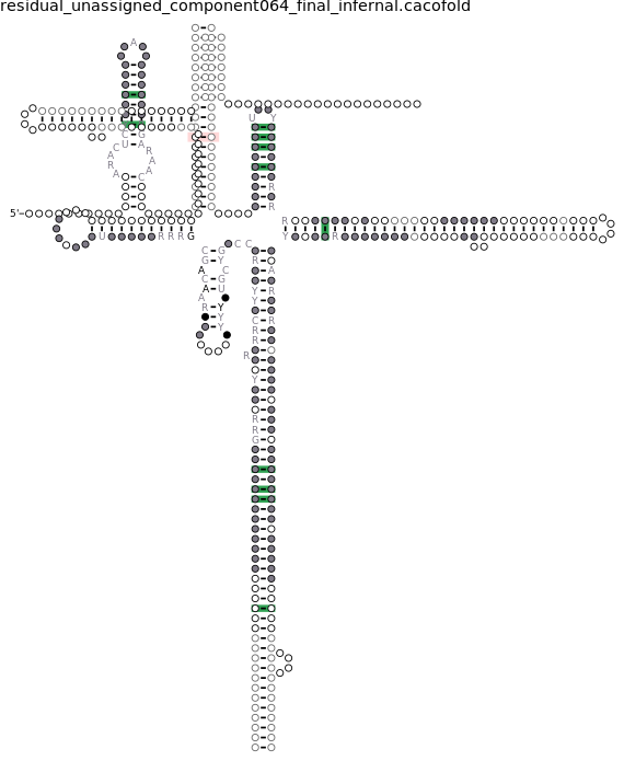 R-scape covariation plot of IRESG080