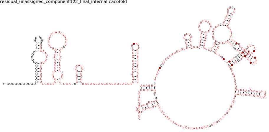 R-scape covariation plot of IRESG136
