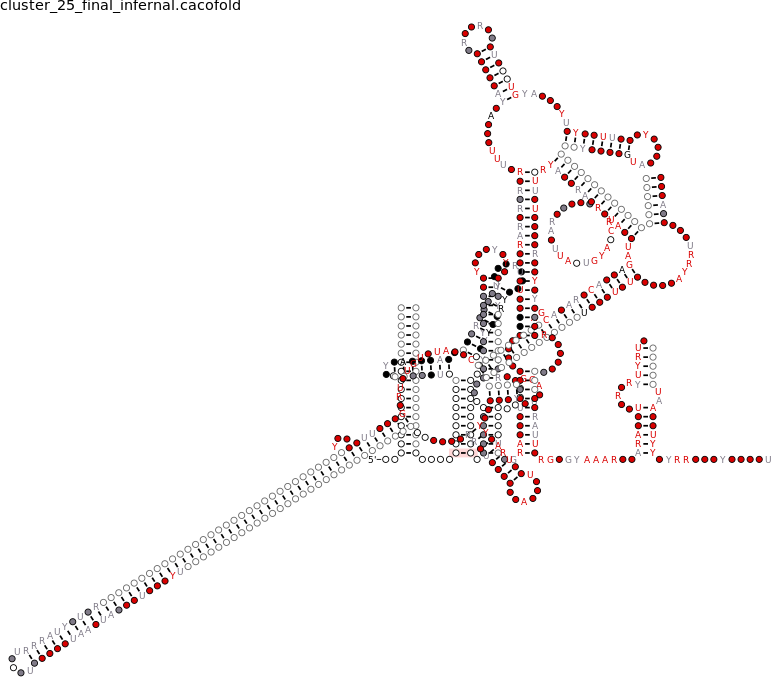 R-scape covariation plot of IRESG166