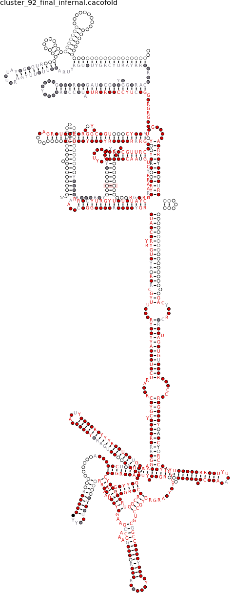 R-scape covariation plot of IRESG232