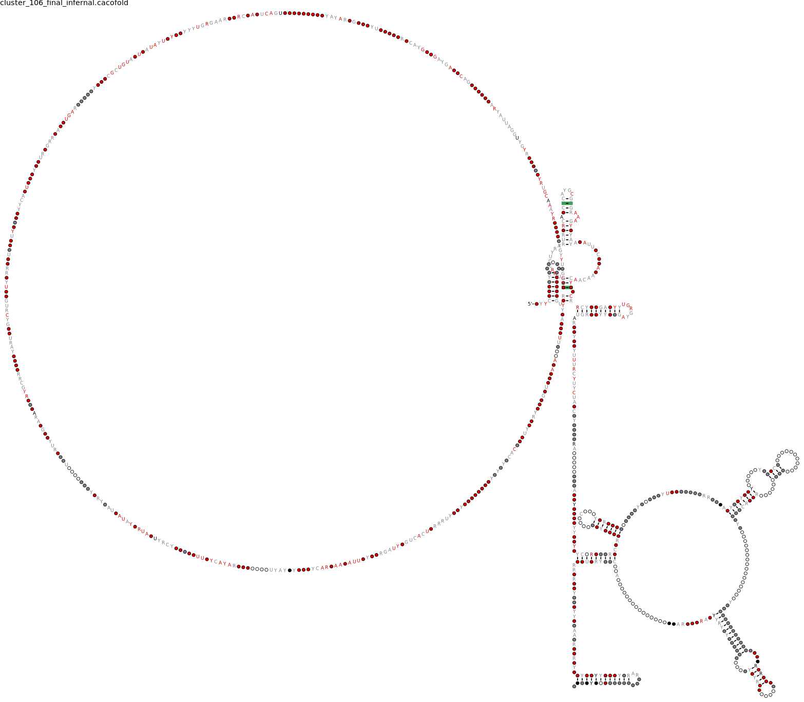 R-scape covariation plot of IRESG245