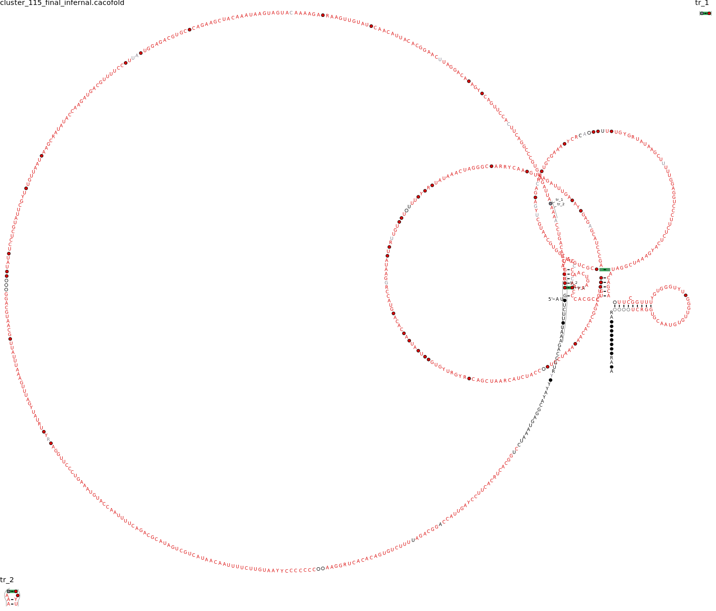 R-scape covariation plot of IRESG253