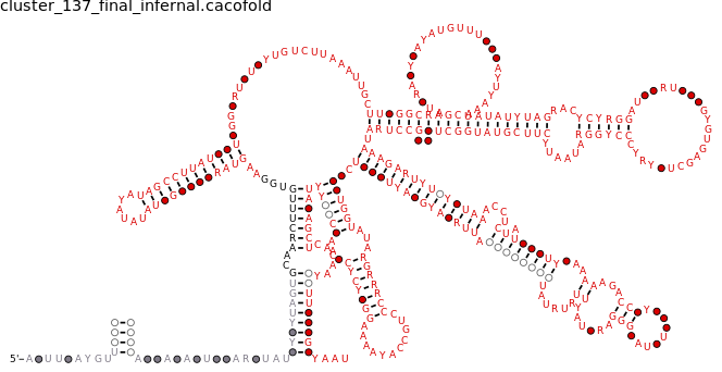 R-scape covariation plot of IRESG273