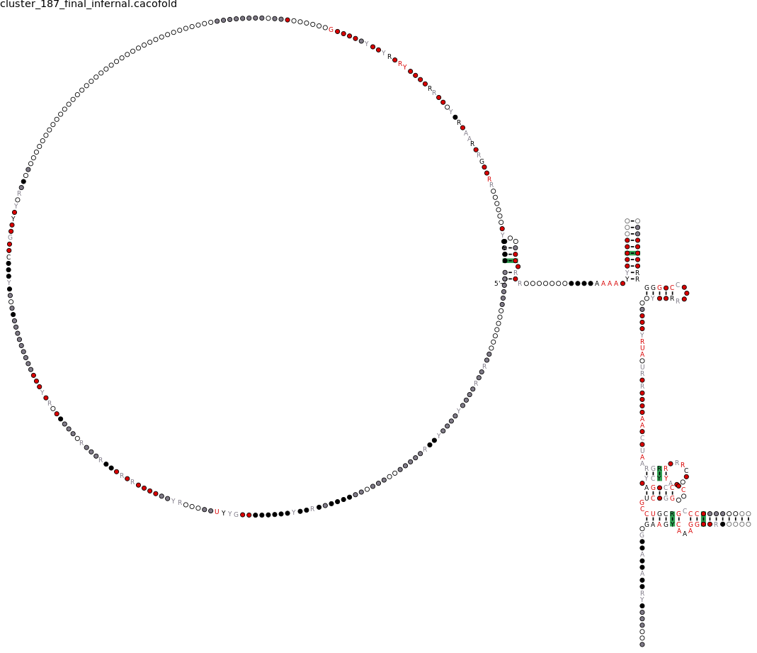 R-scape covariation plot of IRESG321