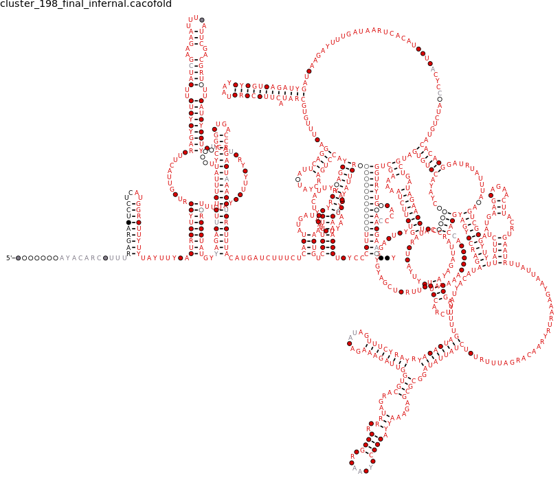R-scape covariation plot of IRESG330