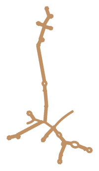 Consensus structure of IRESG002