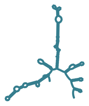 Consensus structure of IRESG005