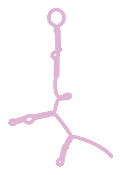Consensus structure of IRESG008