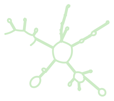 Consensus structure of IRESG009
