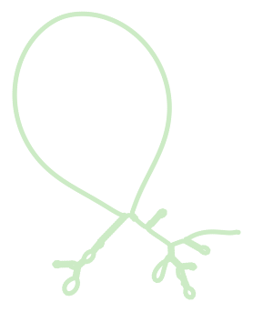 Consensus structure of IRESG010
