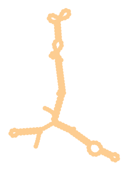 Consensus structure of IRESG012