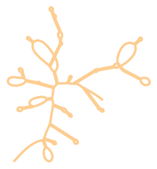 Consensus structure of IRESG013