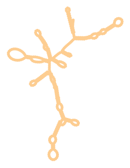 Consensus structure of IRESG014