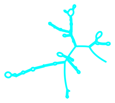Consensus structure of IRESG015