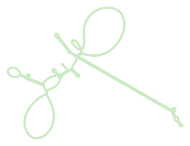 Consensus structure of IRESG019