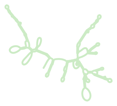 Consensus structure of IRESG021