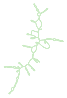Consensus structure of IRESG023