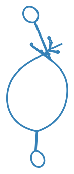 Consensus structure of IRESG024