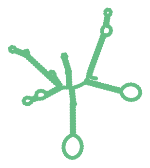 Consensus structure of IRESG025