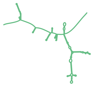 Consensus structure of IRESG027
