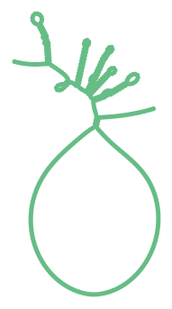 Consensus structure of IRESG028