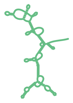 Consensus structure of IRESG029