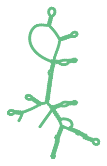 Consensus structure of IRESG030