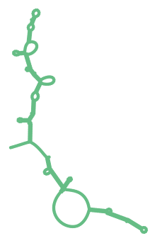 Consensus structure of IRESG031