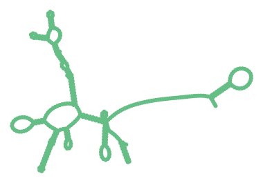Consensus structure of IRESG032