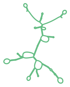 Consensus structure of IRESG034