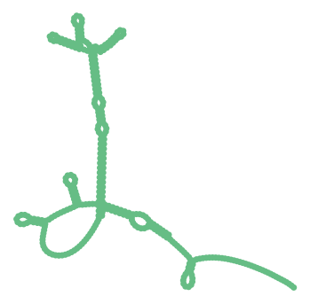 Consensus structure of IRESG035