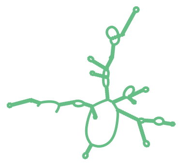 Consensus structure of IRESG036