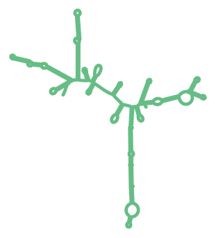 Consensus structure of IRESG038