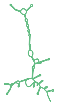 Consensus structure of IRESG039