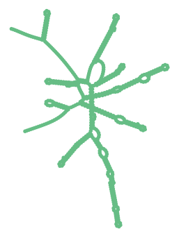 Consensus structure of IRESG040