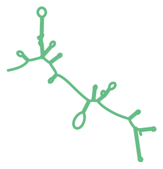Consensus structure of IRESG042