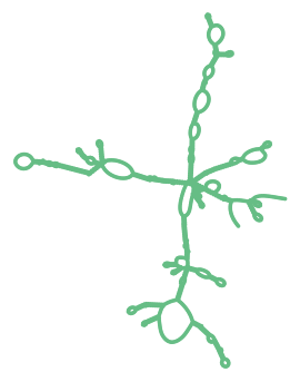 Consensus structure of IRESG043