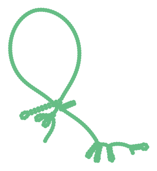 Consensus structure of IRESG044