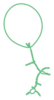 Consensus structure of IRESG045
