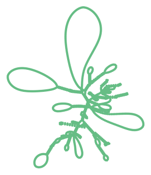 Consensus structure of IRESG047