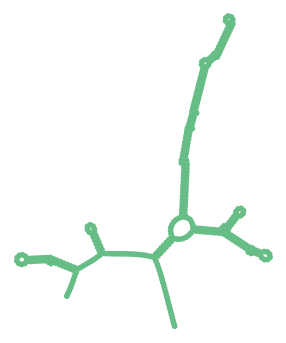 Consensus structure of IRESG048